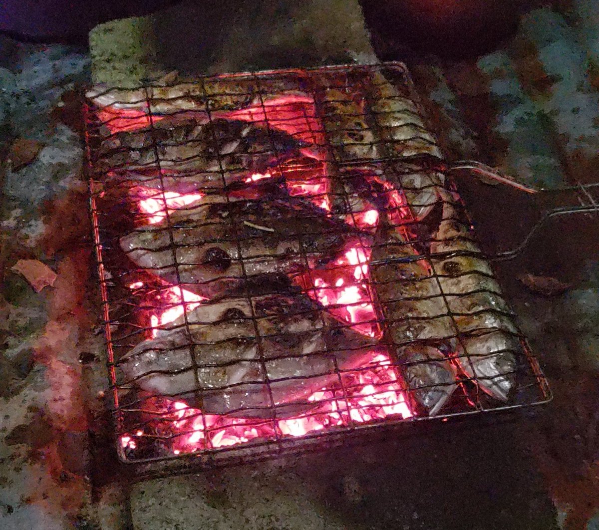 RicardAlam1's tweet photo. Kar bakar 🔥🔥🔥 https://t.co/OzUs0IPpni
