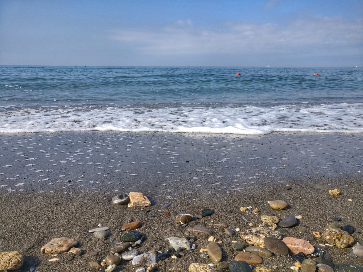 LeggermenteBlog's tweet photo. "Da lì vedeva un pezzo di mare che, a seconda della luce o del vento, sembrava tutt'uno col cielo. Dopo quella discesa, solo il vilucchio non lasciava spazio all'immaginazione: il mare era mare, il cielo era cielo."
@ilezedda #Nàccheras tra gli #esordi di #invasione20 https://t.co/wb6dkHrswn