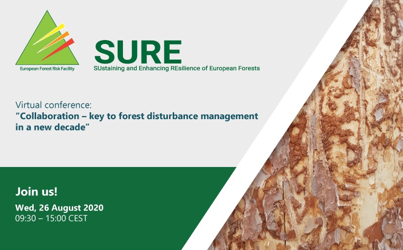 efiresilience's tweet photo. The registration for the SURE final virtual conference is still open: “Collaboration – key to forest disturbance management in a new decade”, 26-27 August 2020. 
#ForestRisks #EFIResilience
Join us! ➡️ https://t.co/MMRx9Qp4ny https://t.co/9aYSSS53mR