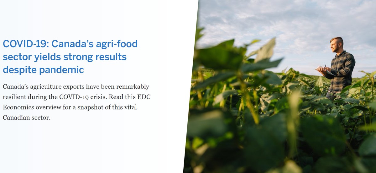 stephen_tapp's tweet photo. New report from @ExportDevCanada 

Canada’s agriculture sector has been resilient during the COVID-19 crisis with shipments for processed food and crops, as well as labour market activity, significantly outperforming most other sectors https://t.co/Iwd9l3kRJV #CdnEcon https://t.co/GLmcacv6U9