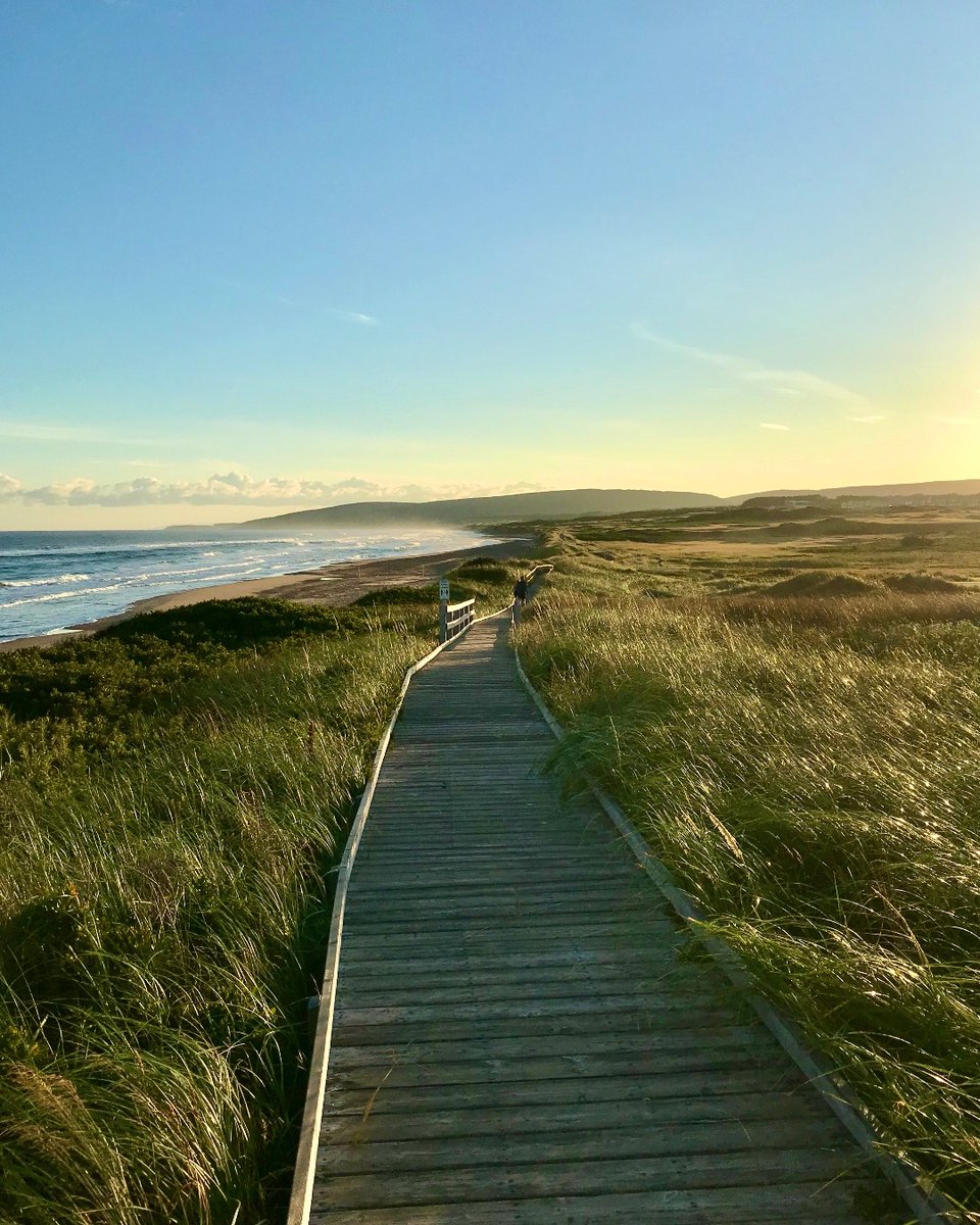 CabotCapeBreton's tweet image. This morning at the Inverness Boardwalk! 👌

Cabot Links to the right and salt-spraying surf to the left. Has anyone else experienced the magic of a morning on the boardwalk? ⛳️🌊

#cabot #cabotlinks #whyilovethisgame #visitnovascotia #explorecanada