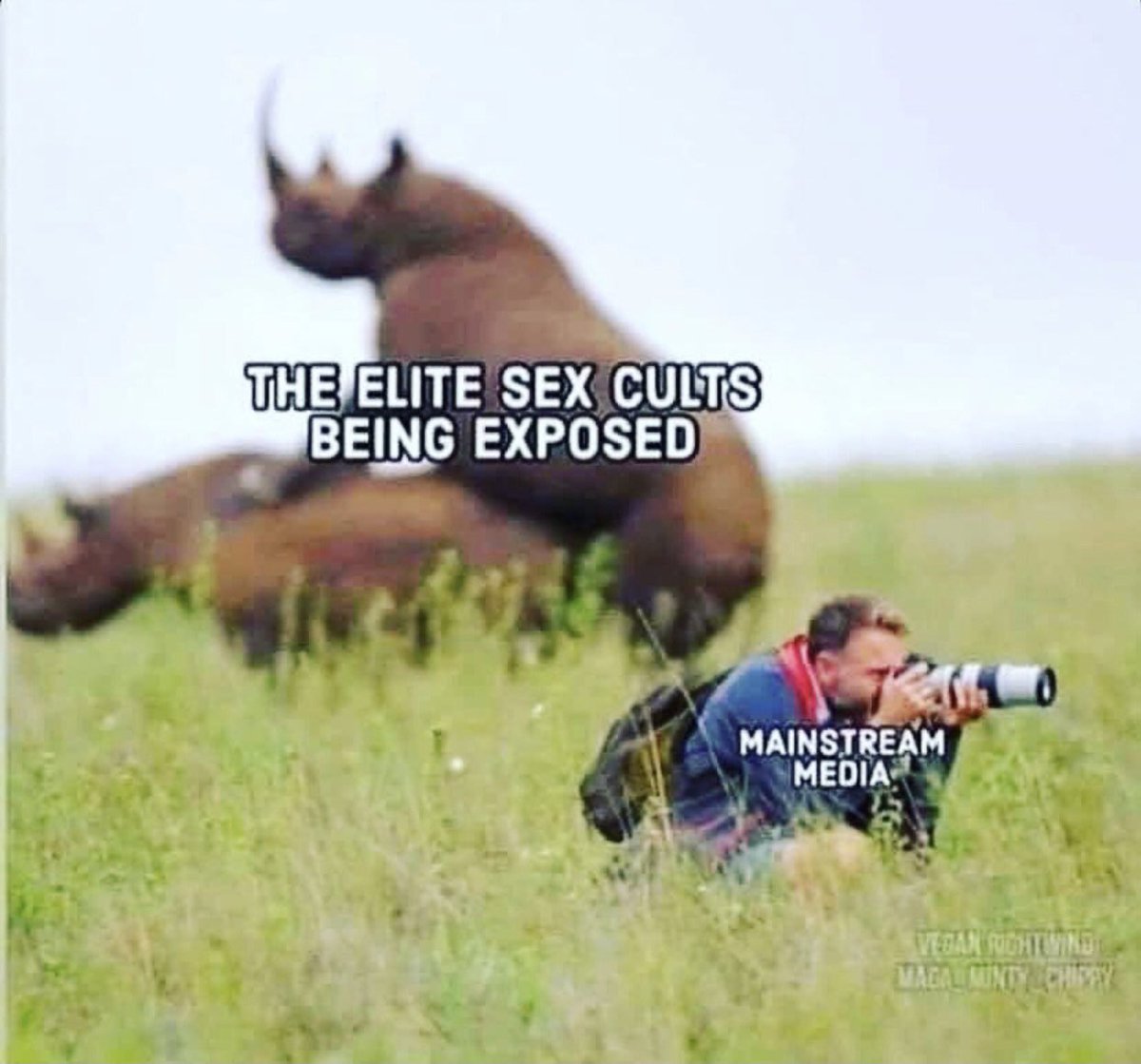 RaveChasers's tweet image. #lookintoit