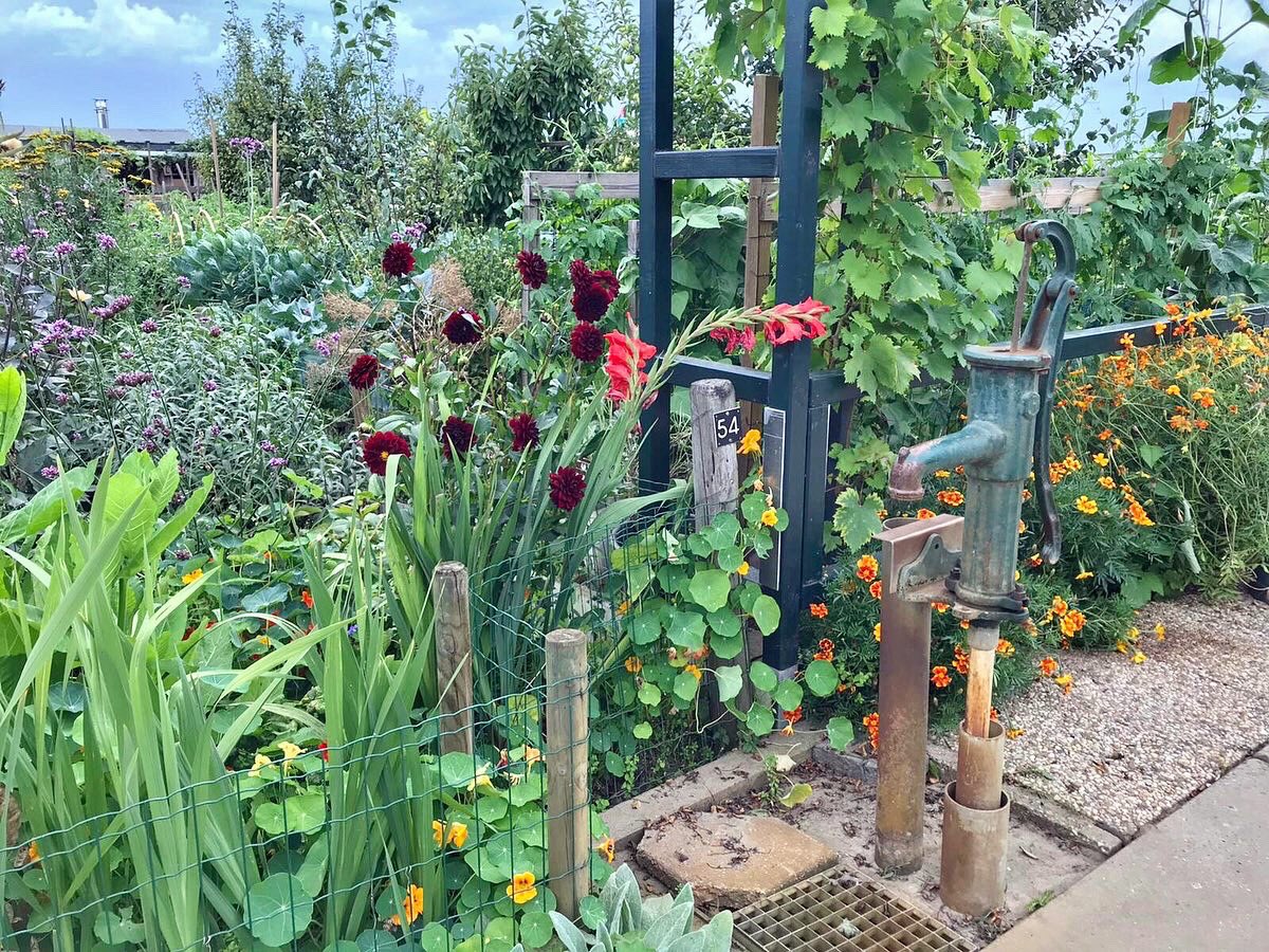 In de vakantieperiode hebben we een aantal initiatieven die we in het verleden hebben gesteund bezocht. In 2018 steunde we de Volkstuinders Vereniging in Waalwijk. 🧑‍🌾🌱 Onlangs heeft raadslid Björn Bögemann de volkstuinen bezocht. Op onze website lees je meer over zijn bezoek!