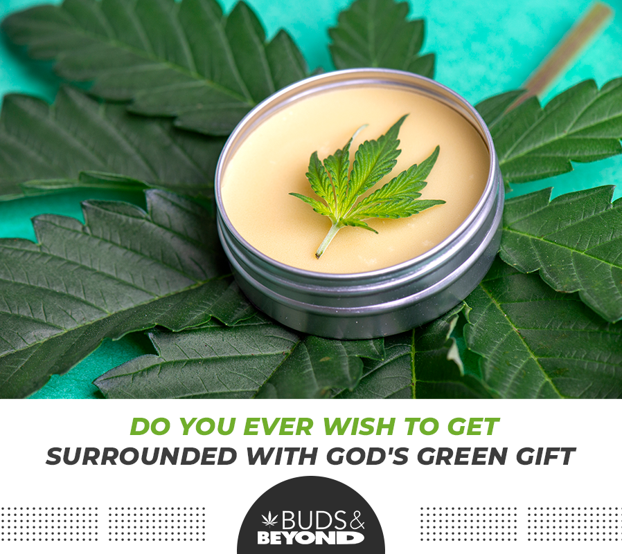 BudsnBeyond's tweet photo. Every Stoner can relate to this getting surrounded by GOD’s Gift &amp; enjoy every moment to relax &amp; stay happy with their group of friends. Would you love to do the same?

#WeekendVibes #Weekend #Gift #Gods #GreenHerbs #Relax #Rejuvinate #Friendship_Goals #Canada https://t.co/J1jcXWEcX4