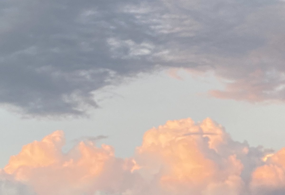 Couplets tweet media