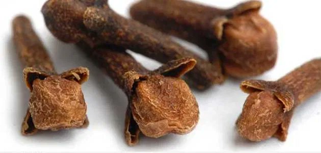 مضغ حبة قرنفل وجعلها في فمك طويلا تنظف البطن والمعدة وتقوي الذاكرة والمفاصل ومفيد للكبد والكليتين والطحال ويقوي النظر ويجعل فمك ذو رائحة قوية