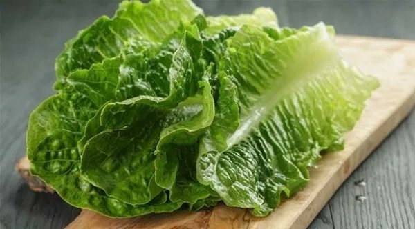 الخس يحتوي على كمية كبيرة من الكالسيوم اكتر من الموجودة في الحليب وفيه كمية من الدهون ما يعادل تناول الأسماك وهو مصدر غني لعنصر الحديد ويوفر لجسمك %16 من احتياجاته اليومية للماء.