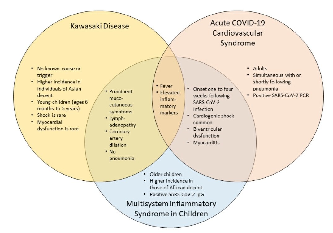 Striking similarities of #MIS_C and a #Myocarditis-like Syndrome in Adults: Overlapping Manifestations of #COVID19

#SARSCoV2 #PIMSTS #PedsICU #ICU #PedsCICU 

@EditorIndPed @WFPICCS @vijaiwilliams @RajPICUdoc @DocMounika @CJ_PICU
@ashwanikoul
 ahajournals.org/doi/10.1161/CI…