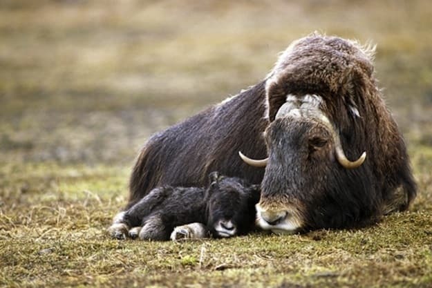 But it's all worth it.