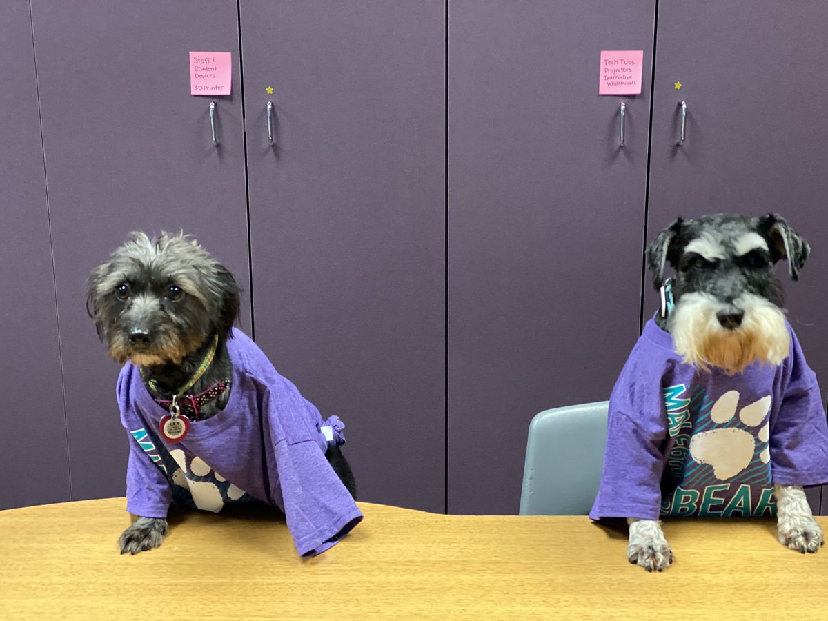 We are so excited to have our new MBE spirit shirts!! <a href="/CounselorMbe/">Maplebrook Counselor</a> <a href="/MaplebrookPto/">Maplebrook Elementary PTO</a>  <a href="/HumbleISD_MBE/">Maplebrook Elem</a> #LightTheWay #mbeisfamily #mbebears2020