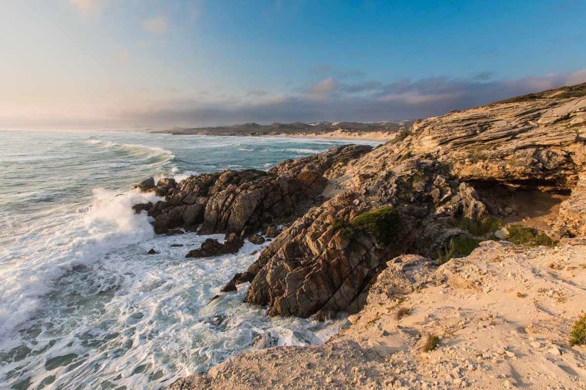 Grootbos (@grootbos) on Twitter photo Clear your head, breath in the fresh air and step into a time gone by on a Grootbos coastal safari, where the ancient Klipgat cave provides insight into the Cradle of human culture.
#InspireTheFuture
📷
<a href="/LoveWildAfrica/">Scott Ramsay</a> Clear your head, breath in the fresh air and step into a time gone by on a Grootbos coastal safari, where the ancient Klipgat cave provides insight into the Cradle of human culture.
#InspireTheFuture
📷
<a href="/LoveWildAfrica/">Scott Ramsay</a>