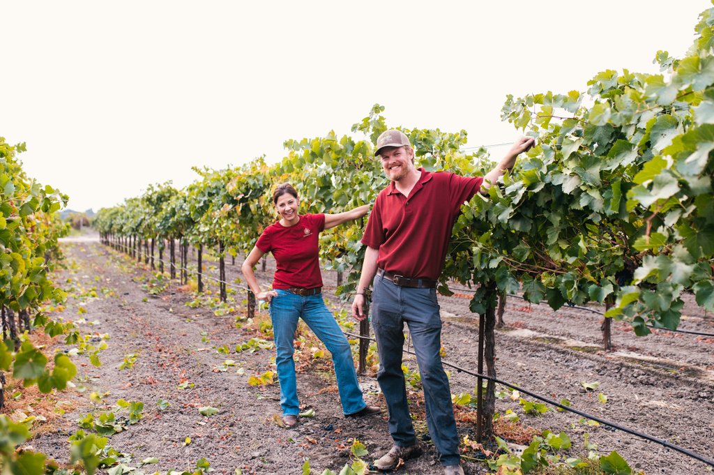 ElevationTen's tweet photo. Happy Harvest Elevation Ten Club Members! We are so excited to welcome you into our tasting room this weekend Friday-Sunday to pick up your summer shipment.  In addition, we are offering you 33% off any additional wines that you would like to purchase through August 31st only! https://t.co/pbsAvuPlKU