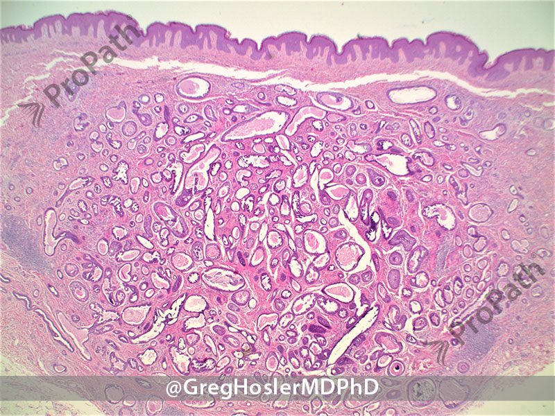 Gregory A Hosler tweet media