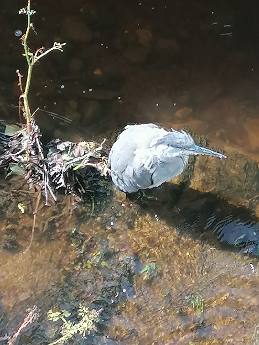 Turner girls tweet media