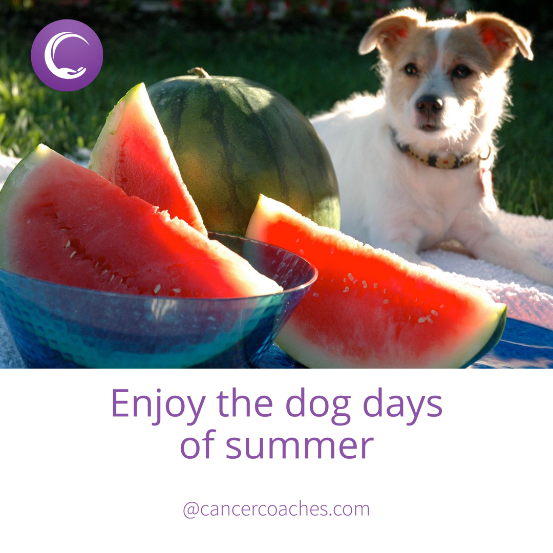 Enjoy the dog days of summer - watermelon, the beach, tire swings, and remember your sunscreen!

#cancercoaches #cancercommunity