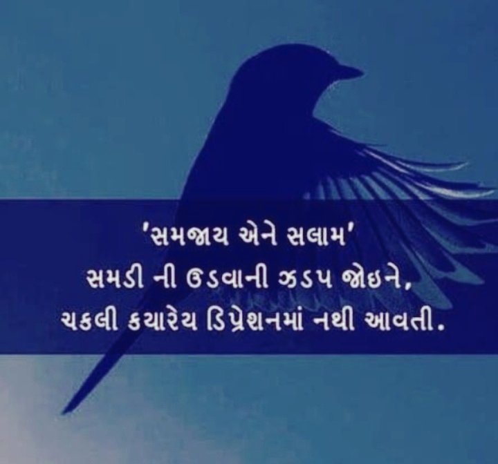 KrupaliKapdi's tweet photo. Just understand this small line u will be happy whole life
#life
#lifelession 
#enjoy
#happiness
#dontcompare https://t.co/Kt9bis7WsD
