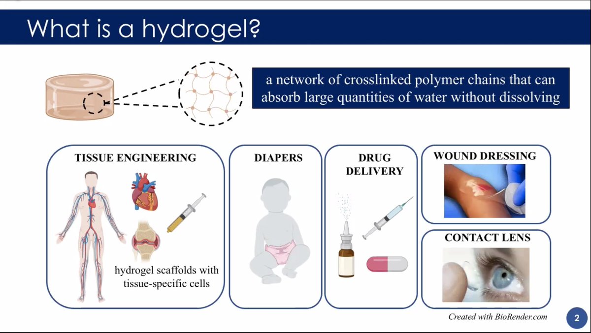 And last but not least, @polystonetian from @biohybridslab “Phage hydrogel: A multifunctional biomaterial for antimicrobial and biosensing applications”