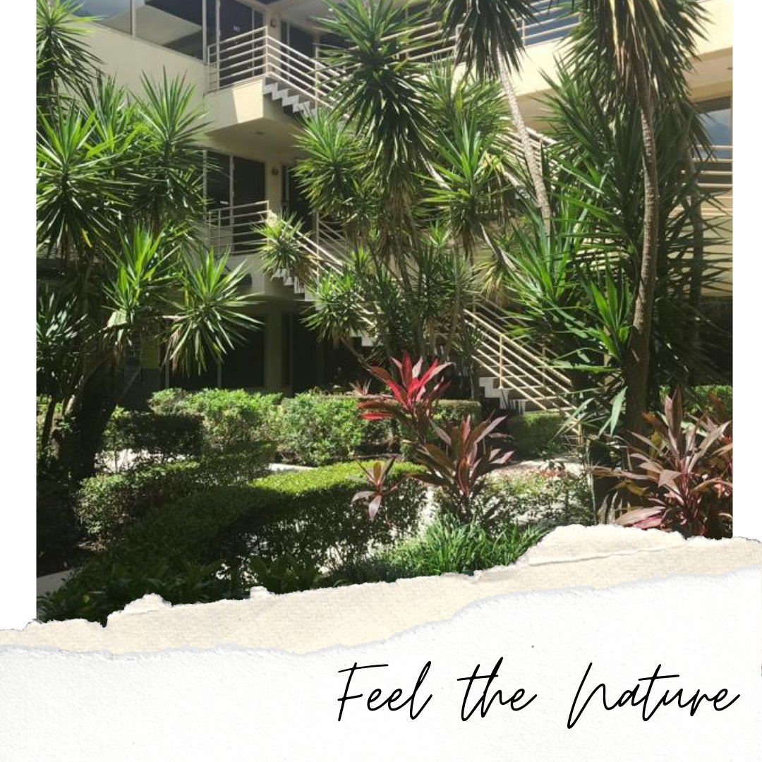 skburtlaw's tweet photo. Experience the nature, warmth, and tranquility of our office building while we take care of your legal needs. 🌿🌺🌴🍃 #OfficeSpace #Nature #Relaxation #StressFree #LegalServices #LegalAssistance #Immigration #FamilyLaw #EstatePlanning https://t.co/ZefM0tfa66