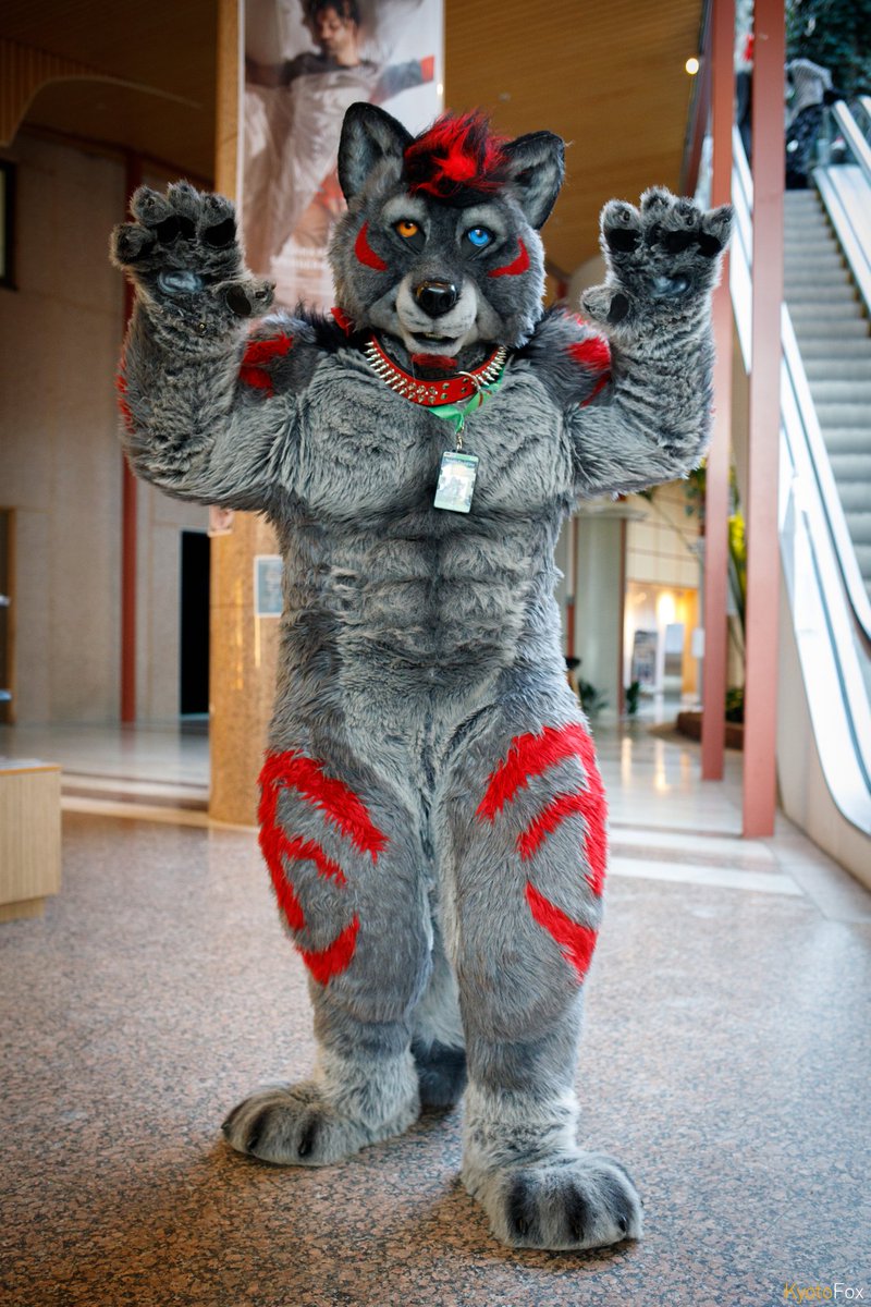 Flex_Fur's tweet photo. A hearty hello to all my new and old followers for #FursuitFriday! π€β€
An awesome picture by @Lutufox taken during #NFC2018. https://t.co/sxWGQDSuFA