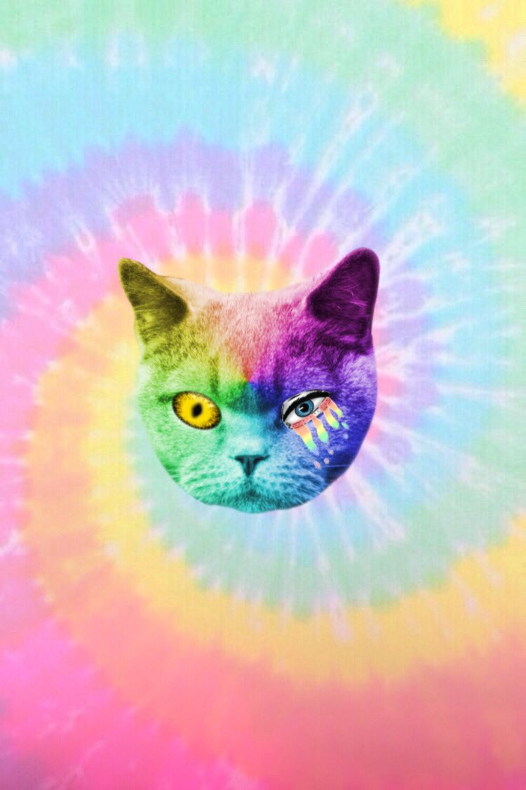 highoffcatnip's tweet image. Merchandise coming soon 
.
.
.
.

#art #festival #electronicmusic #edc #rap #trap #techno #edmfamily #photography #beats #newmusic #club #djlife #deephouse #love #producer #fashion #artist #housemusic #edmlifestyle #dj #house #djs #dance #tomorrowland #music #techhouse #dubstep