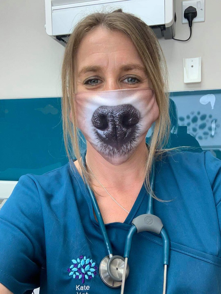 Possibly one of the funniest gifts from a client we’ve been given! 🤣 #veterinary #MaskUp #Masks #mask