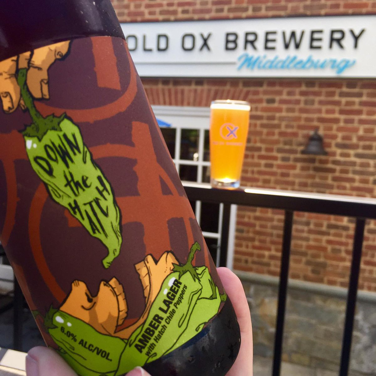 We are winding down to the end of Virginia Craft Beer Month, but we are celebrating all the way! Join us for happy hour today from 3-6 p.m. at Old Ox Brewery in Middleburg! 🍻 📷: <a href="/oldoxmiddleburg/">Old Ox Brewery Middleburg</a> #middleburgva #loudoun #loveloudoun #craftbeer #brewery #vabeer #craftbeermonth