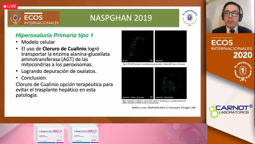 gastromx's tweet photo. MODULO X: GASTROPEDIATRÍA - B

Metabolopatías con el Dr. Patricio Acosta Rodríguez Bueno.

#yosoyAMG #AMG2020 #AMGdiferente #Ecos2020 #EcosInternacionales2020 https://t.co/kzb0yTTG0M