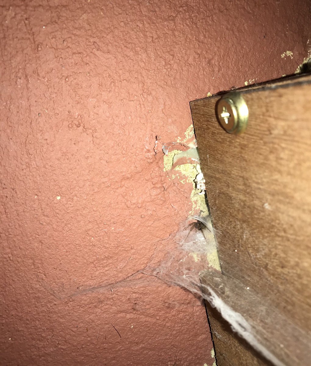 Hi <a href="/BritishSpiders/">BAS</a> is this a small House Spider or something else? I know you can’t see much of the spider, but wondering what you think based on the web.