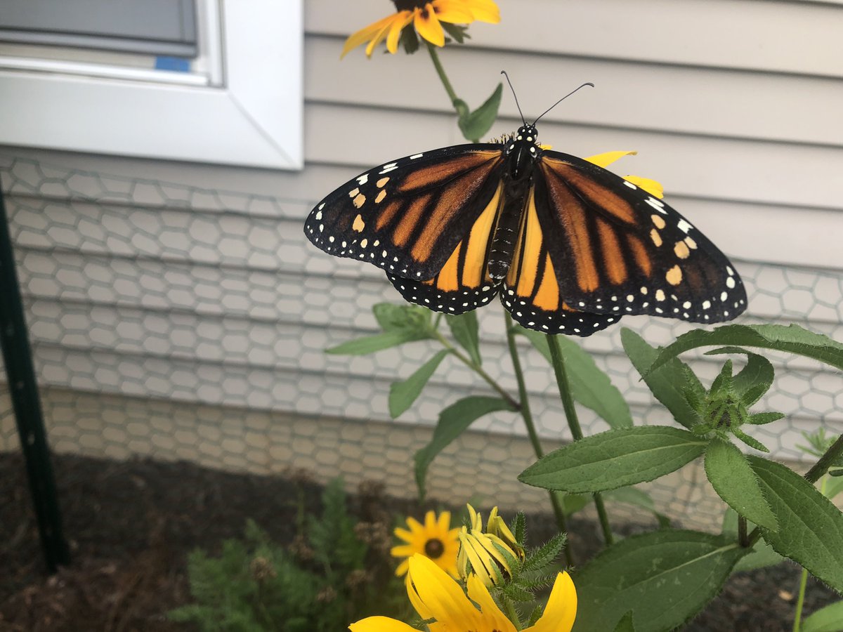 Mother Nature is amazing! #BearTavernPride