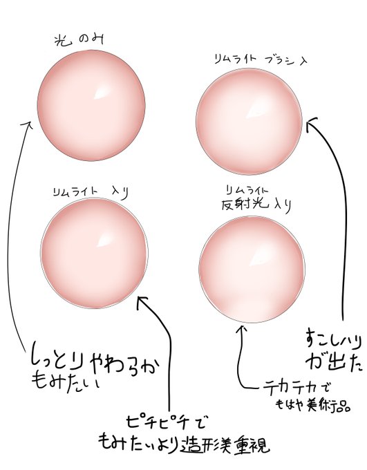 肌に関する対照実験 