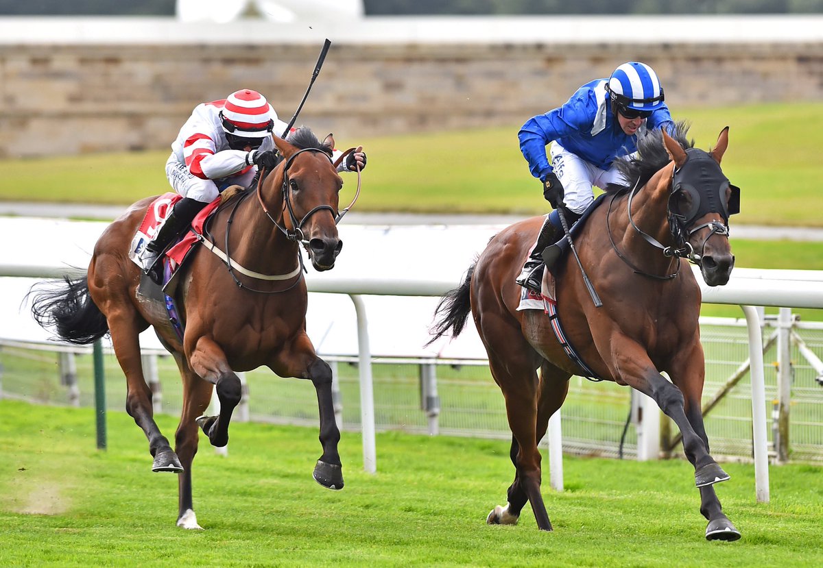 SHADWELL (@shadwell_eu) on Twitter photo 🤩 WOW 🤩 What a day <a href="/yorkracecourse/">York Racecourse</a>!!
4️⃣ winners for <a href="/HH_ShkHamdan/">حــمــدان بن راشــد</a> and @ShadwellStud: the Gr.1 Nunthorpe went to BATTAASH; MINZAAL blitzed his rivals in the Gr.2 Gimcrack Stakes; ENBIHAAR landed the Gr.2 Lonsdale Cup and ALFAATIK took the opening handicap.
#OnFire 🔥 🤩 WOW 🤩 What a day <a href="/yorkracecourse/">York Racecourse</a>!!
4️⃣ winners for <a href="/HH_ShkHamdan/">حــمــدان بن راشــد</a> and @ShadwellStud: the Gr.1 Nunthorpe went to BATTAASH; MINZAAL blitzed his rivals in the Gr.2 Gimcrack Stakes; ENBIHAAR landed the Gr.2 Lonsdale Cup and ALFAATIK took the opening handicap.
#OnFire 🔥