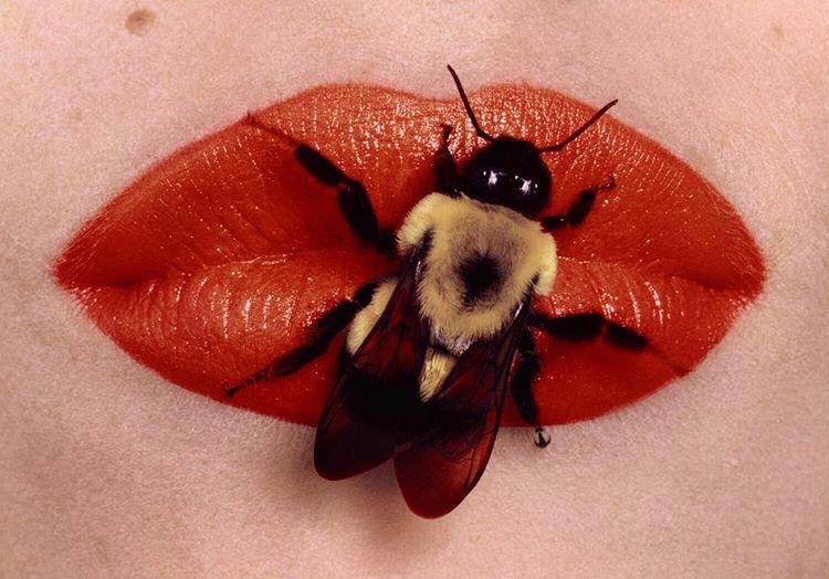 St_Giles_'s tweet photo. “You were wild once, don’t let them tame you.”
—Isadora Duncan

#stgilesfragrance #theactress #stgiles #luxuryfragrance #actress #niche #british #selfridges #artists #contemporary #aesthetic #visuals #moodboard #floral #citrus https://t.co/tuWp4VWTvI