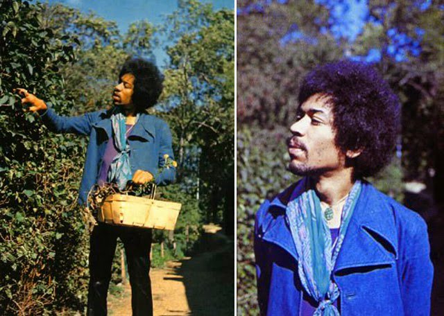 BoredWeb3's tweet photo. Jimi Hendrix's last photo session, 1970. https://t.co/pzCeXPhnsA