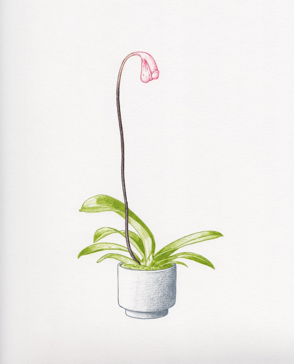 Mr Bingo 𓄚 tweet media