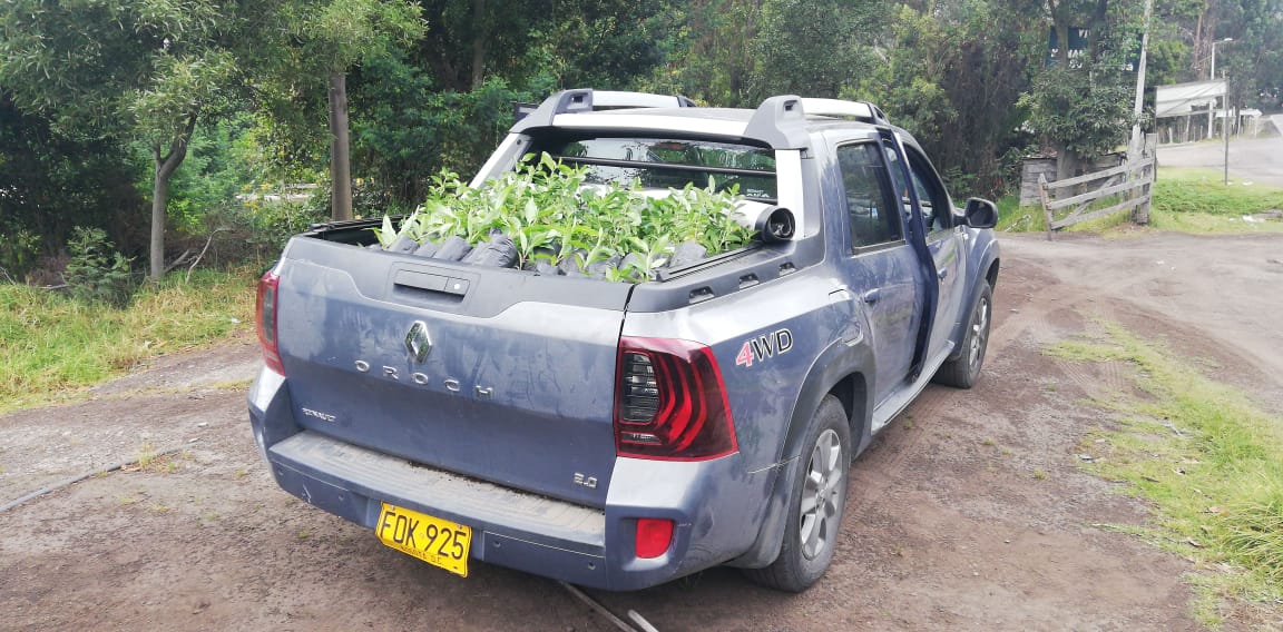 rugeromig's tweet image. Sostenibilidad empresarial
#Margento
#Cundinamarca
Amistades responsables