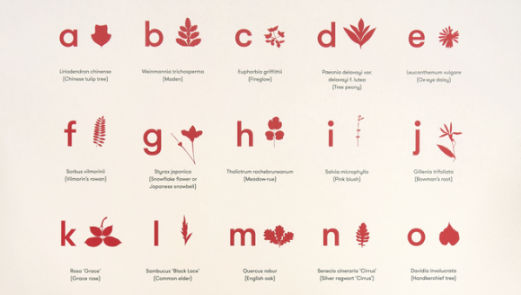 Have you been enjoying our Nyman's Language cryptic messages? 

Are you between the ages of 13 -21? 

Then why not sign up for Lost for Words?!

Over 3 free online workshops, you will learn how to make your own language using found materials and objects.

ditchlingmuseumartcraft.org.uk/event/lost-for…