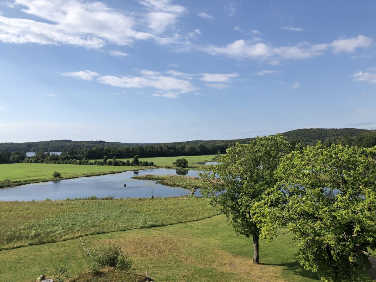 SpagCodeJungle's tweet image. Enjoying vacation #coderonvacation  #ästadvingård #100DaysOfCode