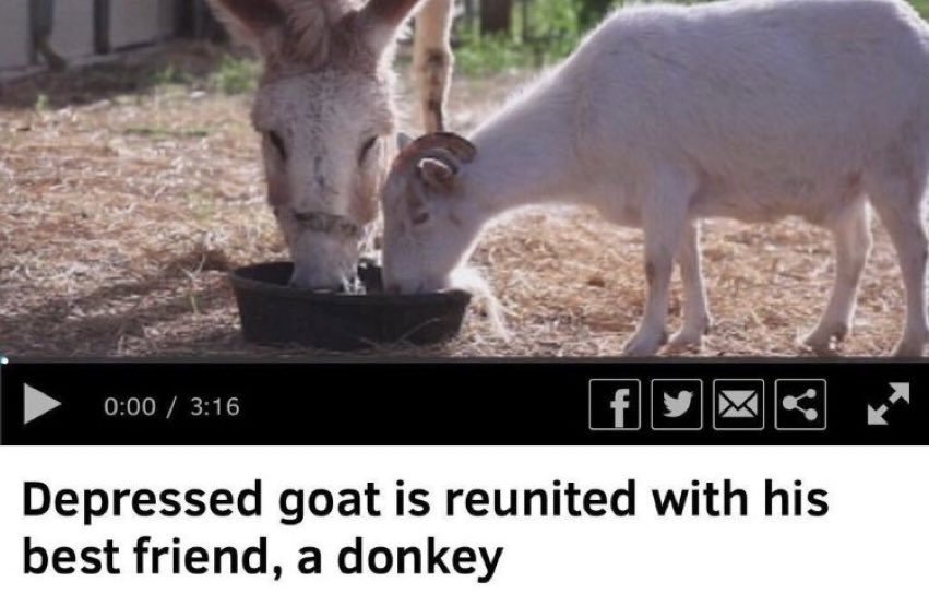 Athsonfire's tweet photo. Lionel Messi and Luis Suarez when they meet each other after coming back from vacation https://t.co/IBIVdnoxR1