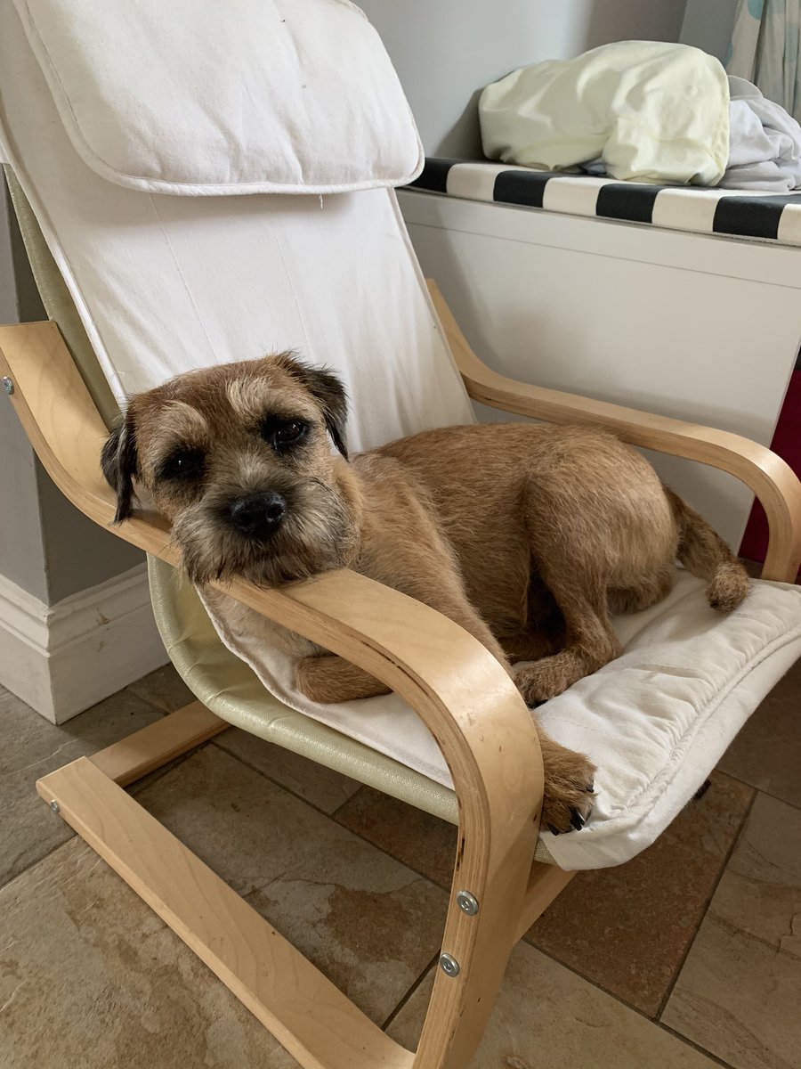 MissSharpley's tweet photo. Feeling very sorry for my self. I have an ear infection and mothership keeps putting horrible drops down it. 😡 #BTposse https://t.co/OoGtStPDMA