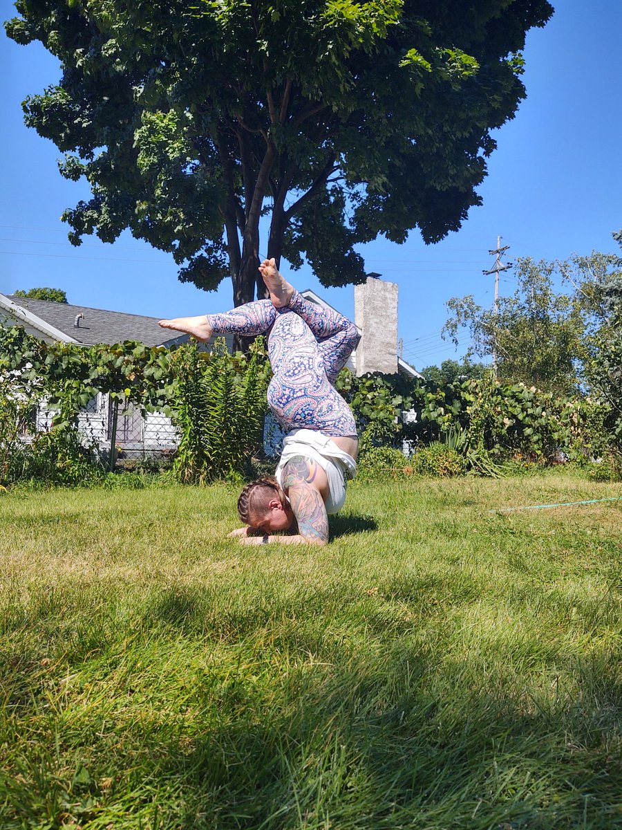 Gingerschocobo's tweet photo. Happy forearm Friday y'all! #pinchamayurasana #backyardyoga https://t.co/7SWWh3kbcB