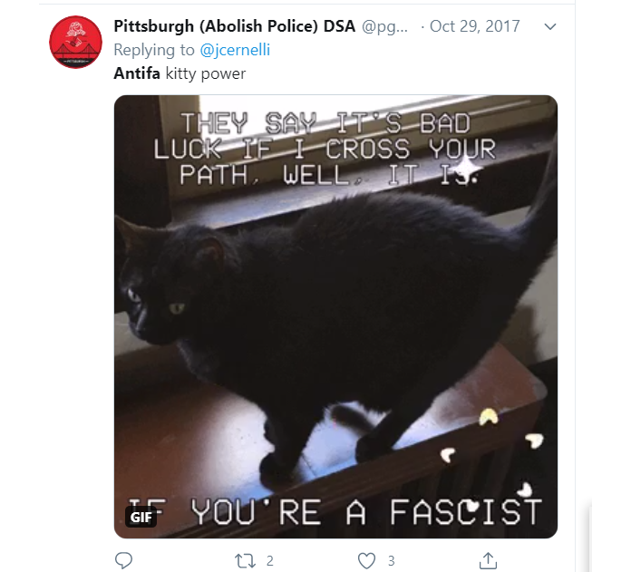 During the riots, I saw the DSA and Antifa talking and coordinating openly on Twitter. It now appears they deleted all that activity.But we still have this,