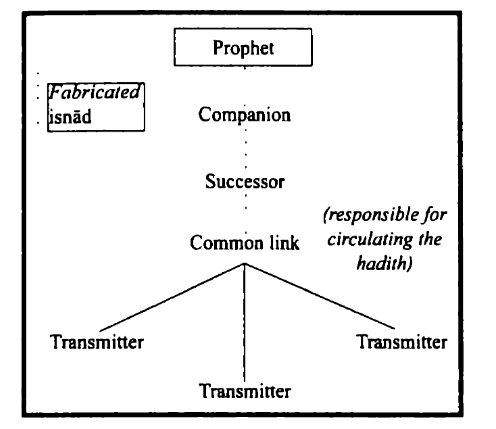 First what is a common link?Here is a diagram, it is the point where isnads "spread out". So in this diagram, the hypothetical hadith in question would have various isnads, but all isnads include and revolve around common link.