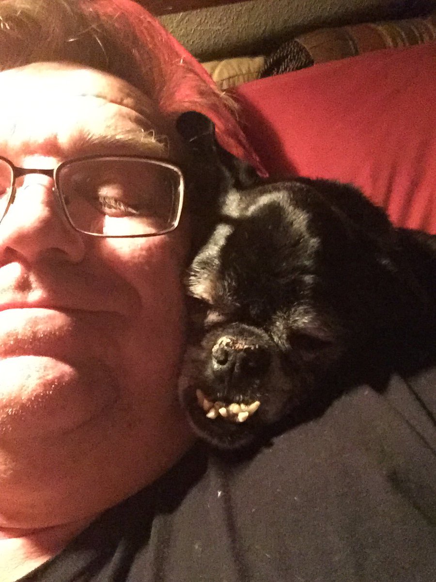 b_satnan's tweet photo. Happy 17th birthday (!) to Frank, the most guapo puppy ever and the greatest birthday present I ever received. To celebrate tonight, he’ll have his favorite - meatloaf. #CrazyTeeth @dog_rates https://t.co/DXdjvTVOmS
