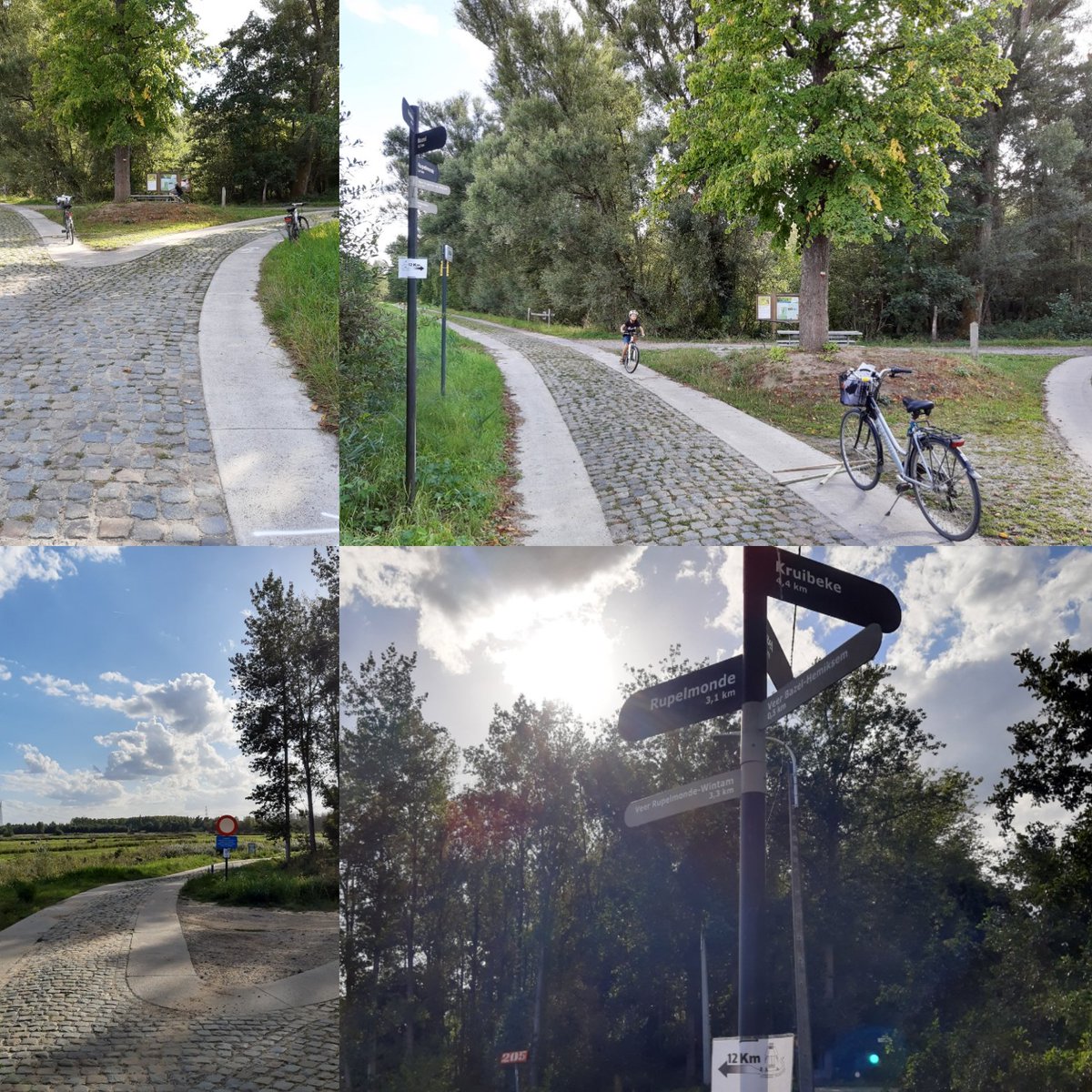 Kruibeeksepolderloop tweet media