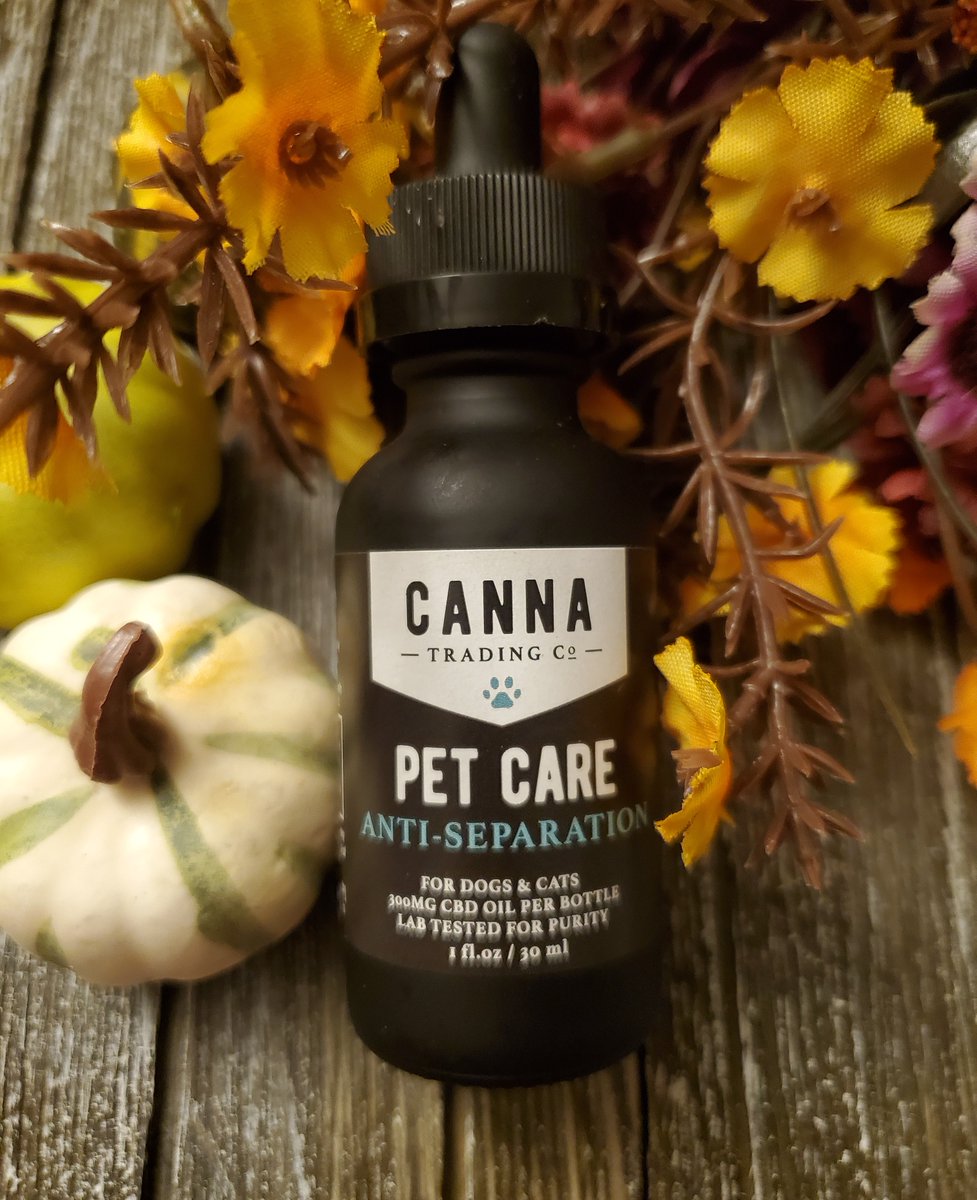 CannaTrading's tweet photo. Fall storms and seasonal weather can be a little scary for our four-legged family members. Our Canna Trading Co. Pet Care Anti-Separation CBD Tincture is suitable for dogs and cats! 

#CBDforPets #CBD #Cannatradingco #Calm #CBDproducts #CBDcommunity #CBDtincture #CBDoil https://t.co/GGyuQCtVjB