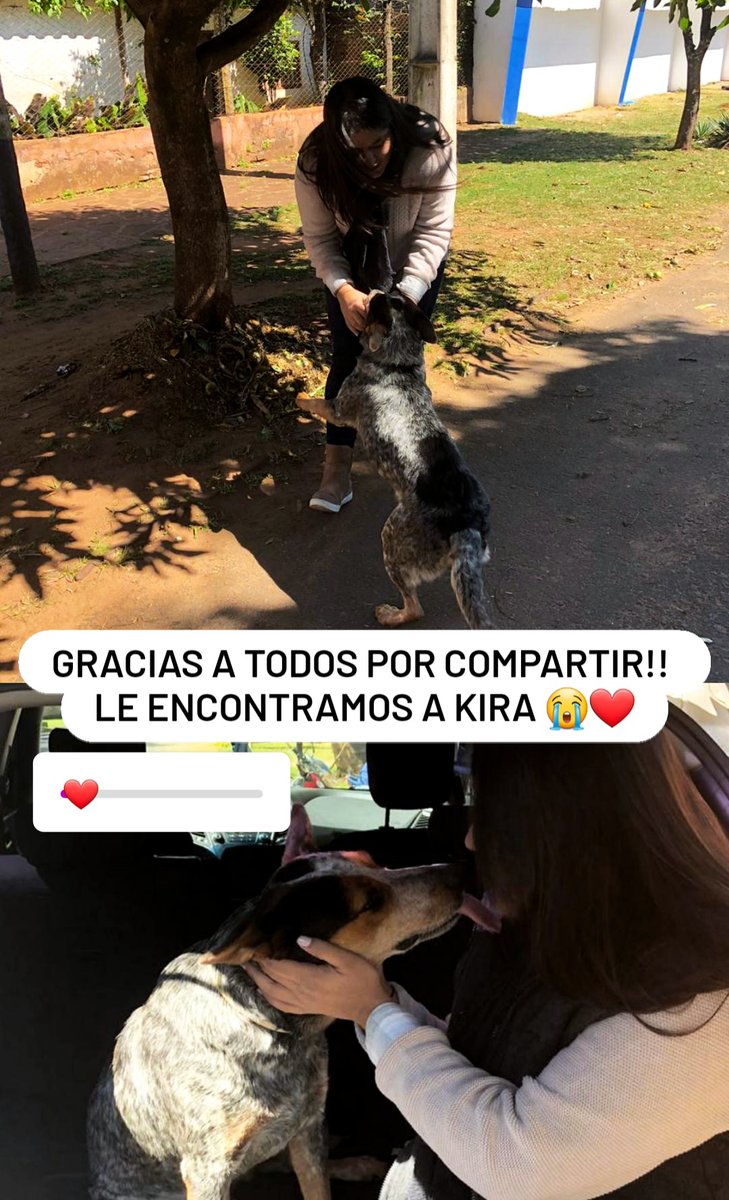 ServinAndrea's tweet photo. GRACIAS A TODOS POR COMPARTIR!!! YA LE ENCONTRAMOS https://t.co/dM8HCnYmsz