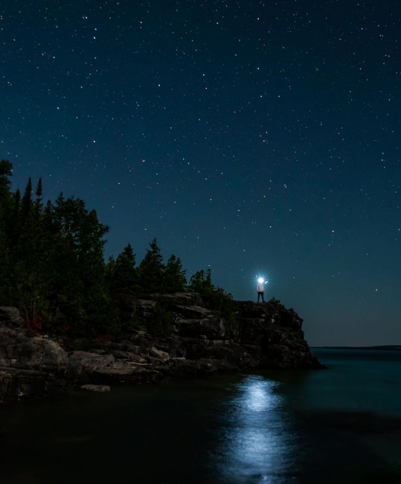 Generalmente las abejas se encuentran en el día, pero varios grupos han desarrollado hábitos que van desde salir unas cuantas horas antes de que salga el sol, y abejas totalmente nocturnas. LAS ABEJAS NOCTURNAS Abro hilo: Varios autores.