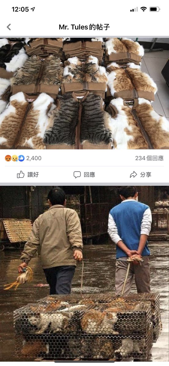 PHOENIXISM_HK's tweet image. The Chinese who abused animals will soon be in prison #CCPChina #CCP_is_terrorist #AntiCivilization