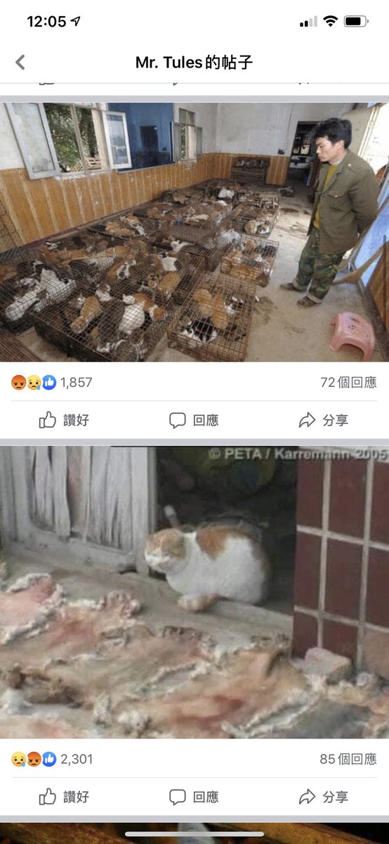 PHOENIXISM_HK's tweet image. The Chinese who abused animals will soon be in prison #CCPChina #CCP_is_terrorist #AntiCivilization