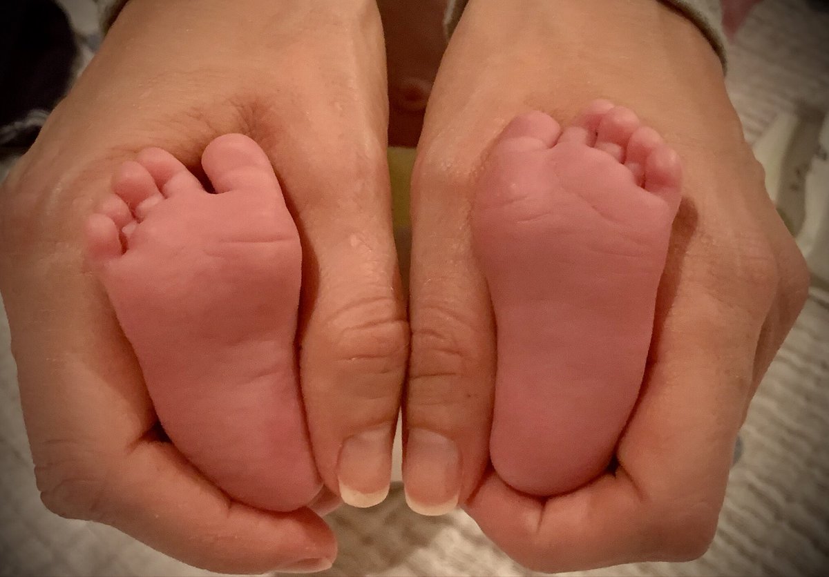 Courtney Reagan tweet media